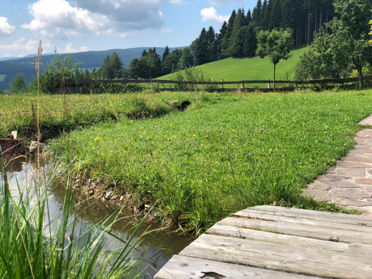 Waldheimathuette Villa Sankt Kathrein am Hauenstein Luaran gambar