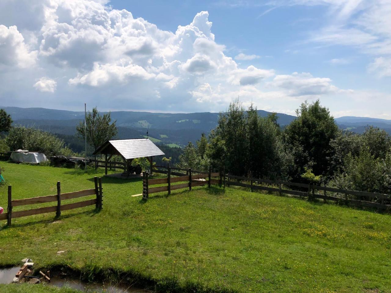 Waldheimathuette Villa Sankt Kathrein am Hauenstein Luaran gambar