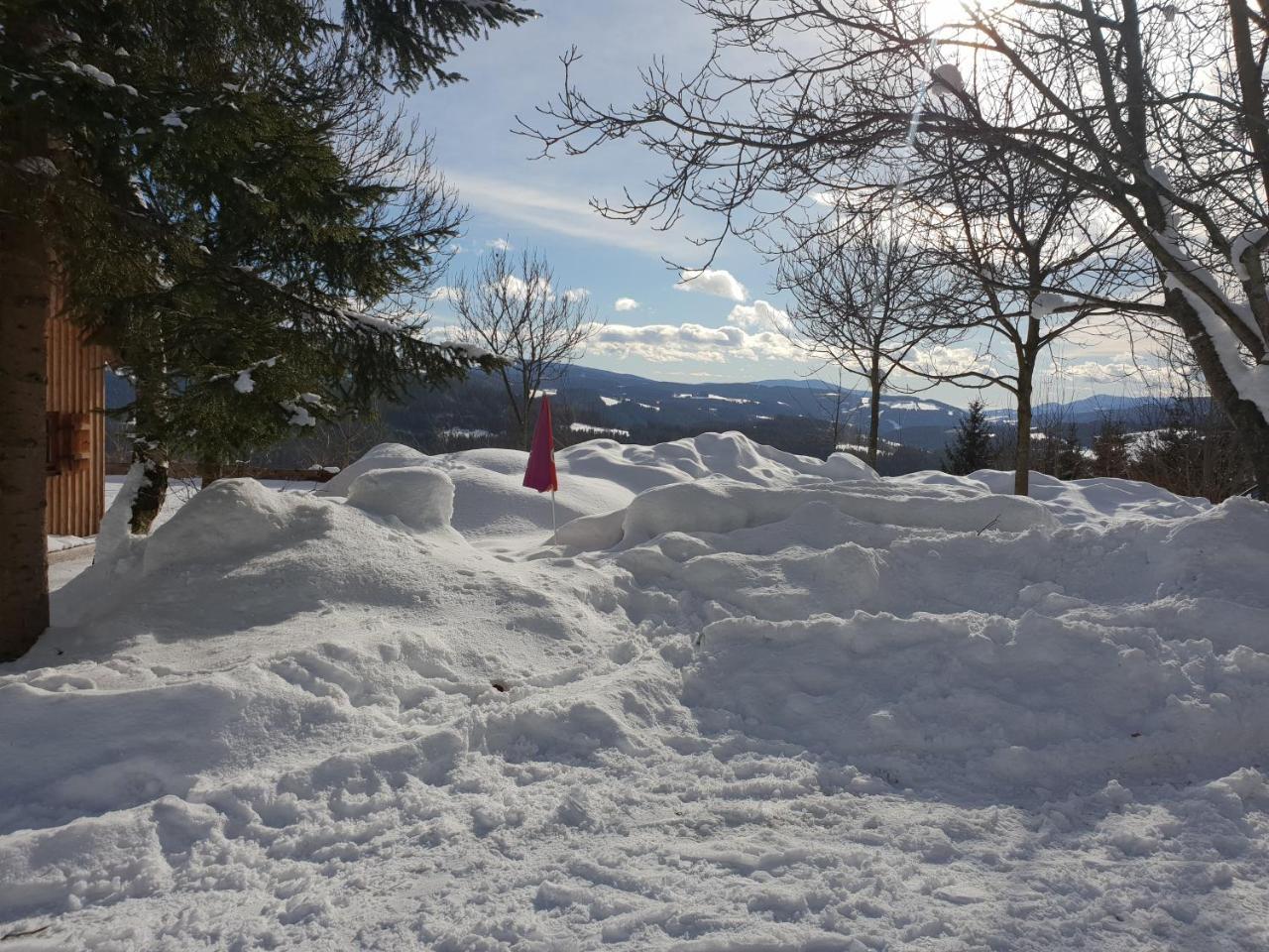 Waldheimathuette Villa Sankt Kathrein am Hauenstein Luaran gambar
