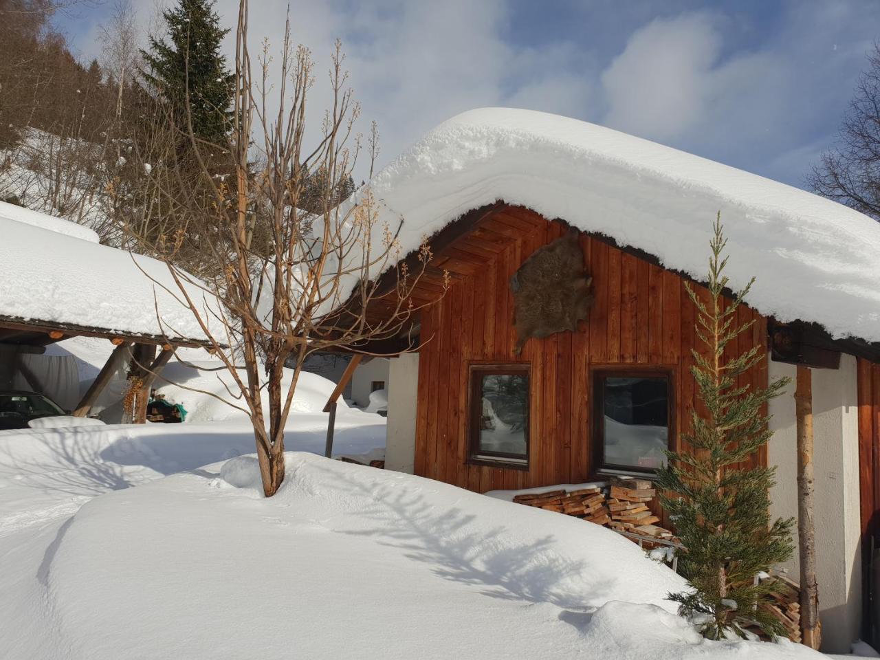 Waldheimathuette Villa Sankt Kathrein am Hauenstein Luaran gambar