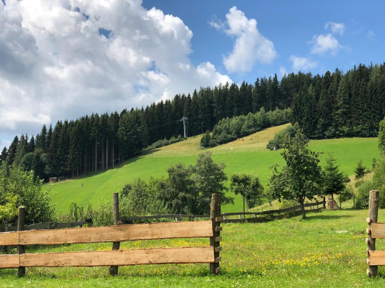 Waldheimathuette Villa Sankt Kathrein am Hauenstein Luaran gambar